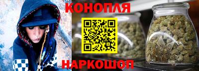 индика Усть-Илимск