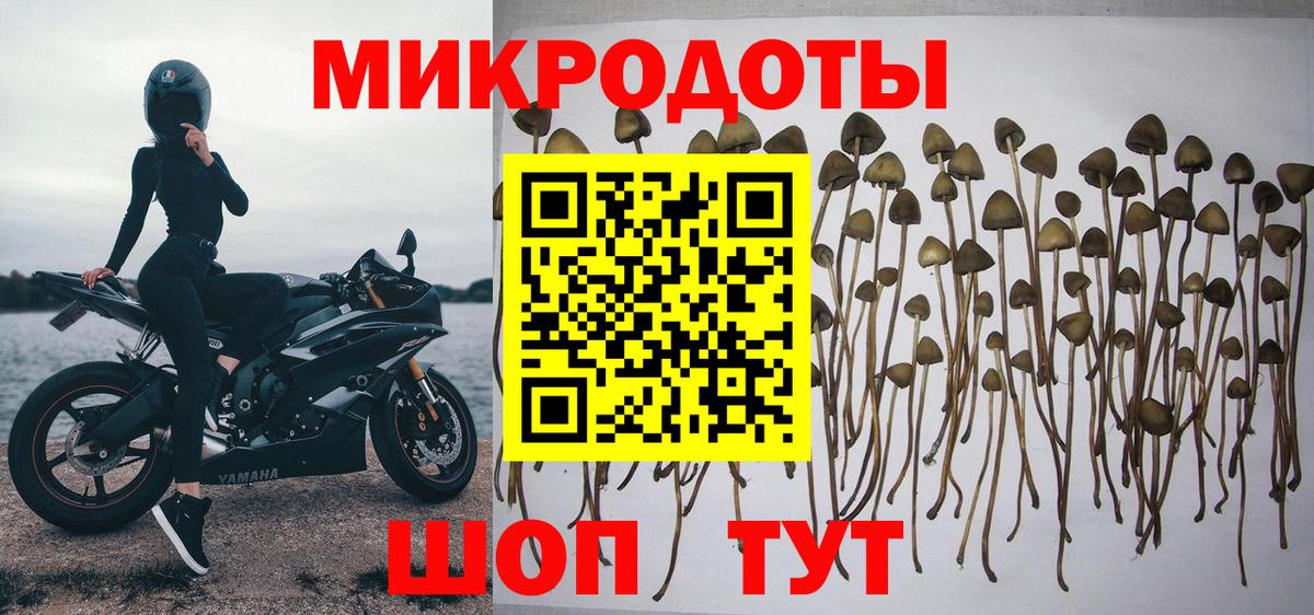 Дубна  Галлюциногенные грибы MAGIC MUSHROOMS  Вход с VPN 