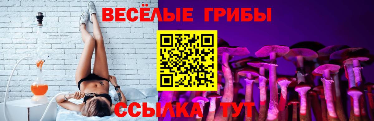Псилоцибиновые грибы мицелий Дубна