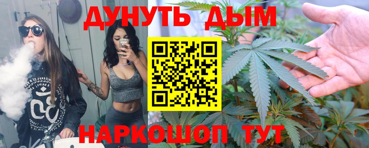 Дубна  Бошки Шишки семена  Канабис THC 21%  Вход с VPN 